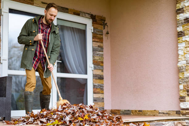 Best Trash Removal Near Me  in Lake Magdalene, FL